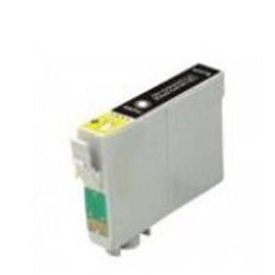 Cartuccia per Epson T0481 nero