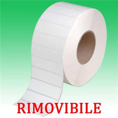 Etichette adesive rimovibile per DYMO DM-99019 S0722480 190mm*59mm 110pz