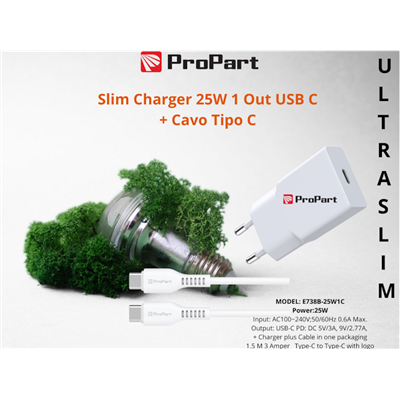 Carica Batterie Slim Carica Batterie + Cavo Tipo C 25W 1 Out USB C