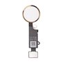 iPhone Serie 4-5-6-7 Pulsante Home per iPhone 7 / 7 Plus Gold