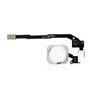 iPhone Serie 4-5-6-7 Pulsante Home Completo Per iPhone 5S Silver