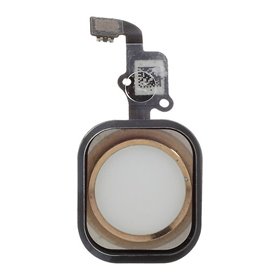 iPhone Serie 4-5-6-7 Pulsante Home Con Flat per iPhone 6 & 6 Plus Gold