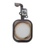 iPhone Serie 4-5-6-7 Pulsante Home Con Flat per iPhone 6 & 6 Plus Gold