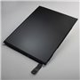 Apple iPad LCD Per iPad mini 2 e 3 Retina A1489 A1490 A1491 AAA+