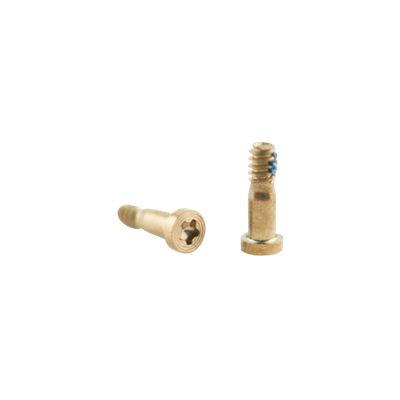 iPhone Serie 8 - SE Viti blocco connettore di carica per iPhone 8 Gold 10 pezzi