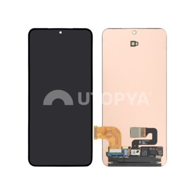 Samsung Serie S Galaxy S24 (S921B) Schermo intero (senza cornice)