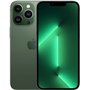 APPLE IPHONE USATI Art.17 Apple iPhone 13 Pro 256GB Green Usato Grado A