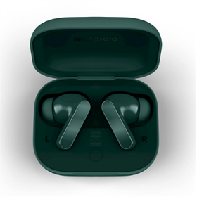 MOTOROLA Motorola Moto Buds Bass Posy Green
