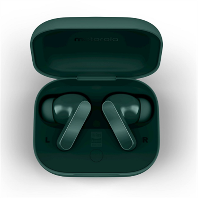 MOTOROLA Motorola Moto Buds Bass Posy Green