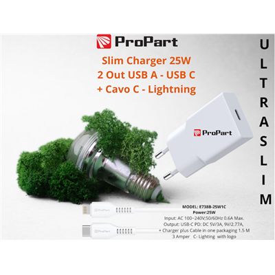 Slim Carica Batterie + Cavo Tipo C Lightning 25W 1 Out USB C