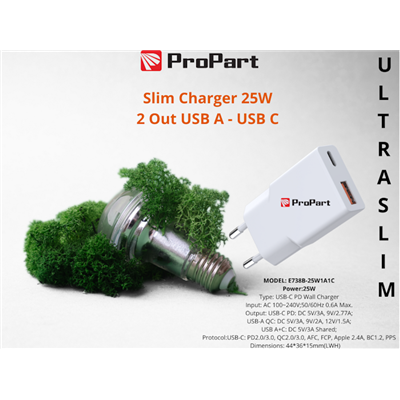 Slim Carica Batterie 25W 2 Out USB A - USB C