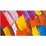 Pellicola posteriore colorata per plotter D-11