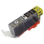 11ml Grigio with chip perCanon IP4850,MG5150,MG5250,4544B001