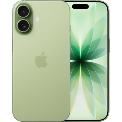 Apple iPhone 17 A3519 512GB Dual eSIM Usato Grado A++ Verde