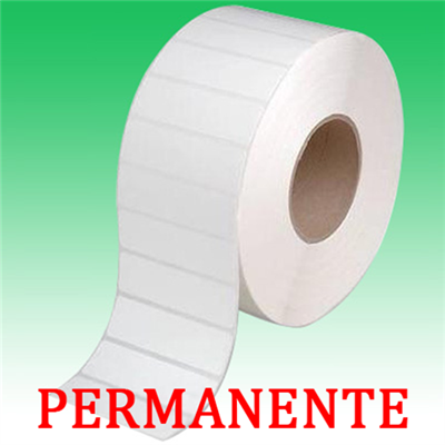 Etichette adesive permanente per DYMO DM-99019 S0722480 190mm*59mm 110pz