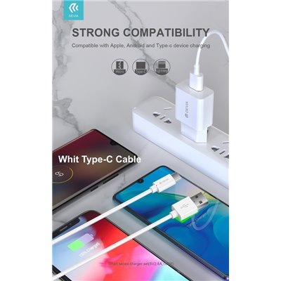 Carica Batterie Suit Carica Batteria 2,4A 1 Uscita e Cavo Usb A - Type-C