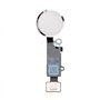 iPhone Serie 4-5-6-7 Pulsante Home per iPhone 7 / 7 Plus Bianco