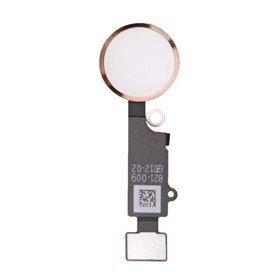 iPhone Serie 4-5-6-7 Pulsante Home per iPhone 7 / 7 Plus Rose Gold