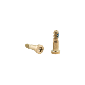 iPhone Serie 8 - SE Viti blocco connettore carica per iPhone 8 Plus Gold (2pz)