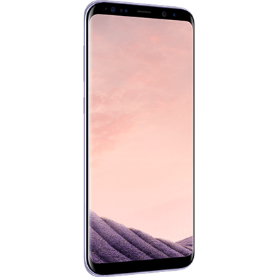 Samsung Serie S LCD Originale Samsung G955 Galaxy S8 PLUS Violet GH97-20470C