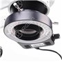 Attrezzi Tools Lampada Led per microscopio con fissaggio