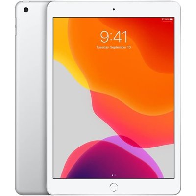 Apple iPad Art. 17 Apple iPad 8 A2428 32GB Wi-Fi+ Cellular Usato Grado A Silver