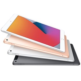 Apple iPad Art. 17 Apple iPad 8 A2270 2020 10.2'' 32GB Grey Wiï¬ Usato Grado A