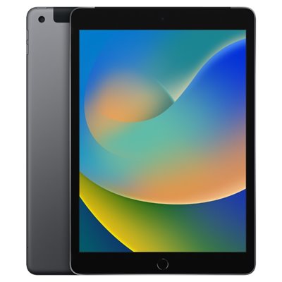 Apple iPad Art. 17 Apple iPad 9 A2603 2021 10.2'' 64GB Grey 4G Usato Grado A
