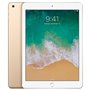 Apple iPad Art. 17 Apple Ipad 5 32Gb Gold Wi-Fi A1822 Usato Grado A