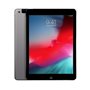 Apple iPad Art. 17 Apple Ipad Air 32Gb Gray Wi-Fi A1474 Usato Grado A