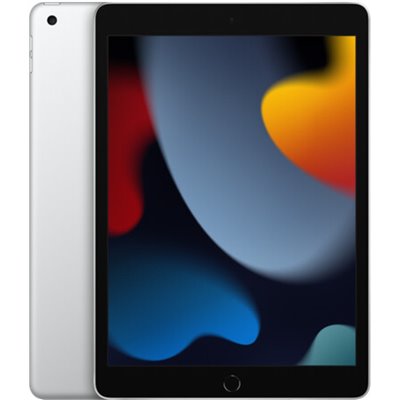 Apple iPad Art. 17 Apple iPad 9 A2603 2021 10.2'' 64GB Silver 4G Usato Grado A