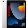 Apple iPad Art. 17 Apple iPad 9 A2603 2021 10.2'' 64GB Silver 4G Usato Grado A