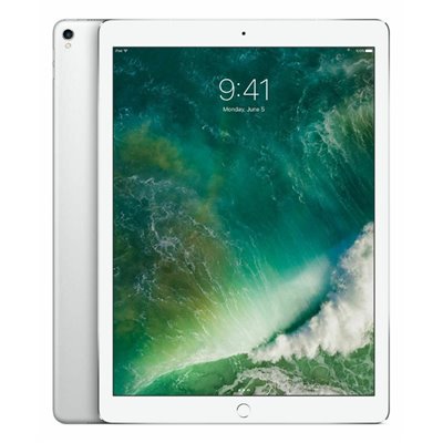 Apple iPad Art. 17 APPLE IPAD PRO 10.5 A1709 256GB 4G Wi-Fi USATO A SILVER