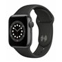 Apple Watch Apple Watch Series 6 AL 40mm Gray/Black Wifi A2291 Usato G A