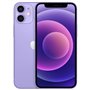 Apple iPhone Art.17 Apple iPhone 12 Mini A2176 256GB Purple Usato Grado A