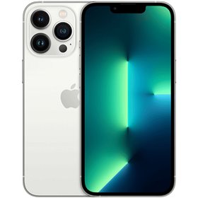 Apple iPhone Art.17 Apple iPhone 13 Pro 256GB Silver Usato Grado A
