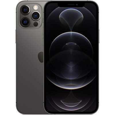 Apple iPhone Art.17 Apple iPhone 12 Pro 256GB Usato Grado A Graphite