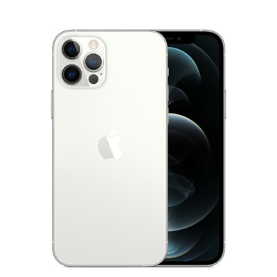 Apple iPhone Art.17 Apple iPhone 12 Pro 256GB Usato Grado A Silver