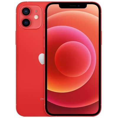 Apple iPhone Art.17 iPhone 12 64GB Usato Garanzia 1 anno Grado A Red