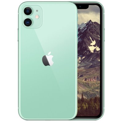 Apple iPhone Art.17 APPLE IPHONE 11 128GB Usato Grado A Green 