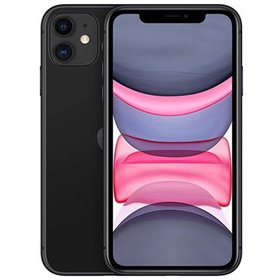 Apple iPhone Art.17 Apple iPhone 11 256GB Black Garanzia 1 anno Usato Grado A