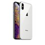 Apple iPhone Art.17 iPhone XS 256Gb Usato Grado A Garanzia 1 anno Silver