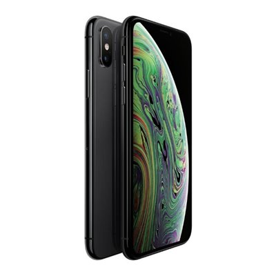 Apple iPhone Art.17 iPhone XS 512Gb Usato Grado A Garanzia 1 anno Grey