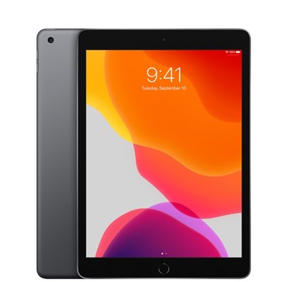 Apple iPad Art. 17 Apple iPad 7th Gen 2019 10.2'' 32GB Wi-Fi + Cellular Usato Grado A Grey