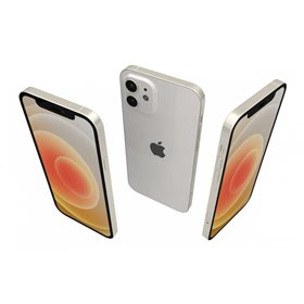Apple iPhone Art.17 iPhone 12 64GB Usato Garanzia 1 anno Grado A Bianco