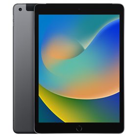Apple iPad Art. 17 Apple iPad 9 A2602 2021 10.2'' 64GB Grey Wi-Fi Usato Grado A