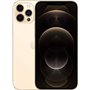 Apple iPhone Art.17 Apple iPhone 12 Pro Max 128GB Usato Grado A Gold