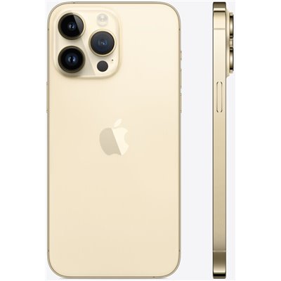 Apple iPhone Art.17 Apple iPhone 14 Pro Max 256GB Usato Grado A Gold