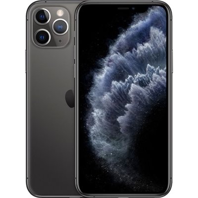 Apple iPhone Art.17 Apple iPhone 11 Pro 256GB Usato Grado A SpaceGray