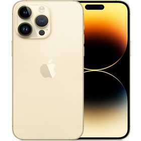 Apple iPhone Art.17 Apple iPhone 14 Pro 128GB Usato Grado A Gold